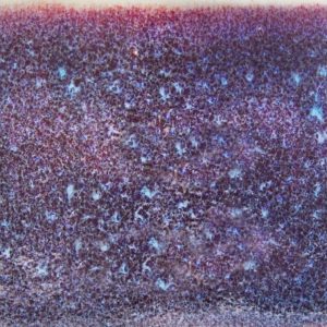 ÉMAIL BROUILLARD GALACTIQUE SPEEDBALL HT, 473 ml